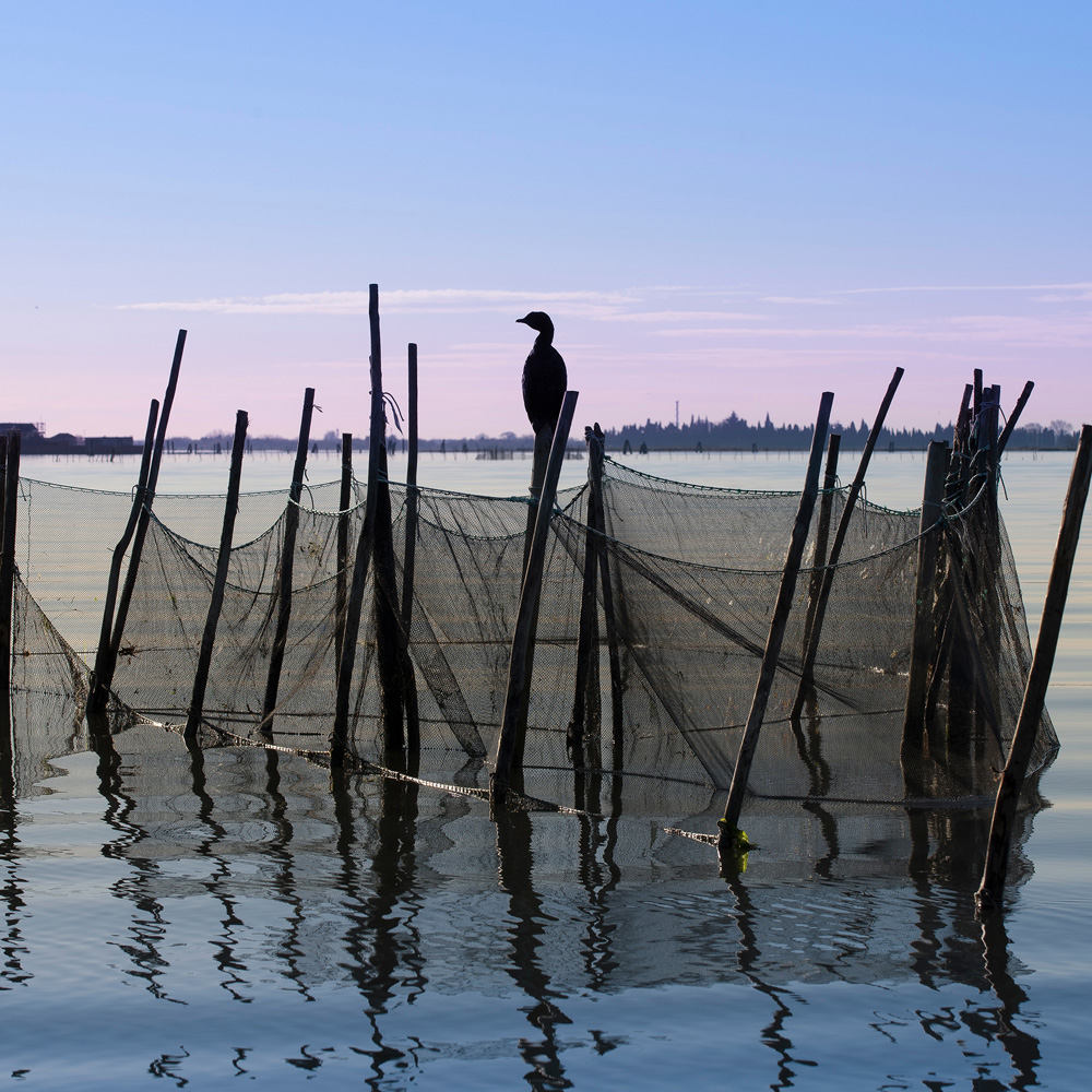 Fishing-Time-Luise-Adriatic